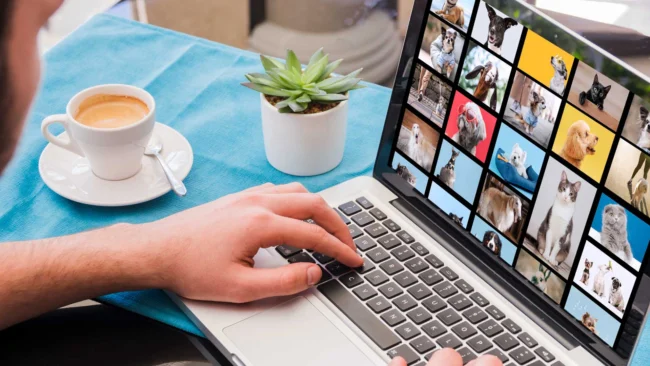 bancos de imágenes para tu web