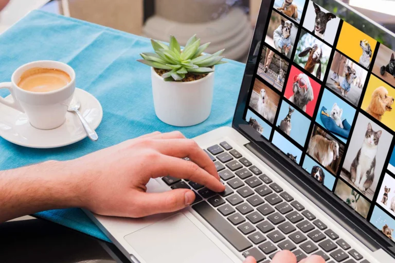 bancos de imágenes para tu web